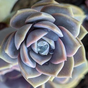 Meet your Posher, Kevin